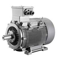 Siemens 1MJ6080-2CA..