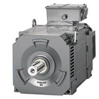 Siemens 1PL6186-.....-....