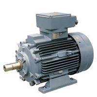 Siemens 1PS1113-0BD..-3AA2