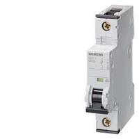 Siemens 5SY4102-5