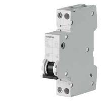 Siemens 5SY6013-6